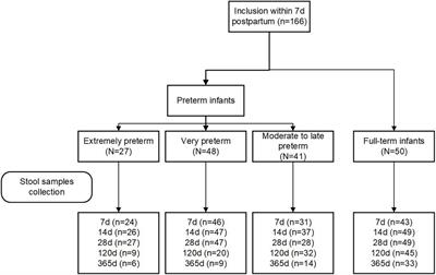 Dynamic Changes of the Gut Microbiota in Preterm Infants With Different Gestational Age